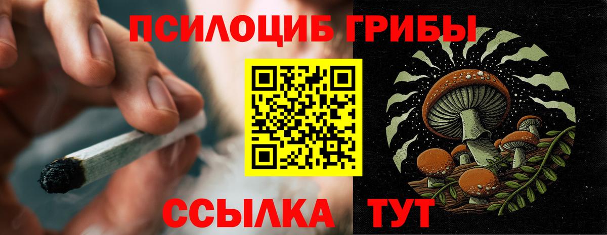 хочу   Вход с VPN  Псилоцибиновые грибы MAGIC MUSHROOMS  Новоалтайск  Галлюциногенные грибы MAGIC MUSHROOMS 