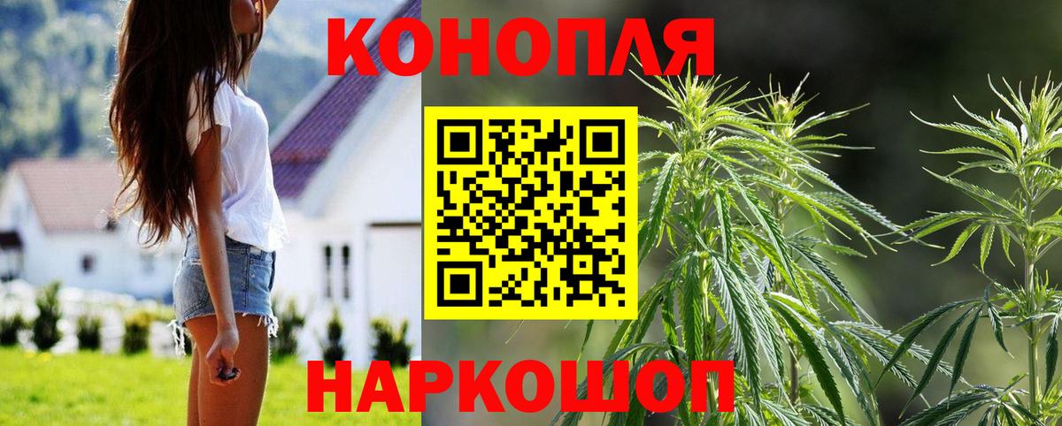 Марихуана семена Новоалтайск